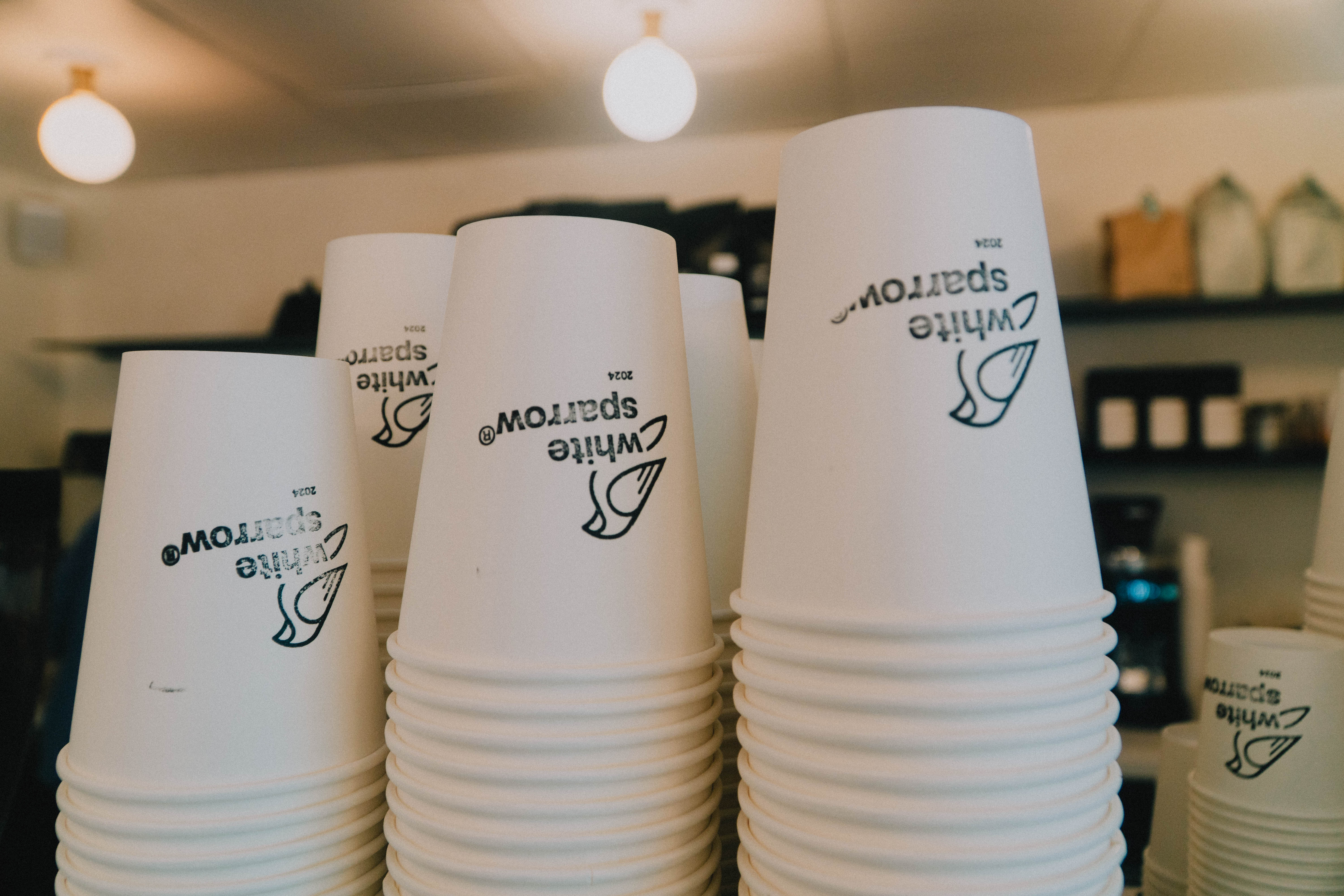 Alex & Tommy // White Sparrow Coffee — photo 3